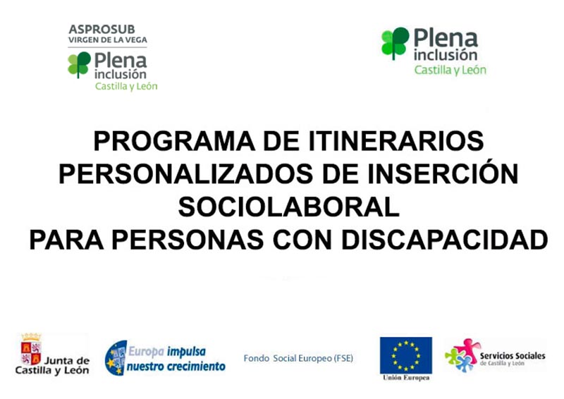 Programa de itinerarios personalizados de inserción sociolaboral para personas con discapacidad